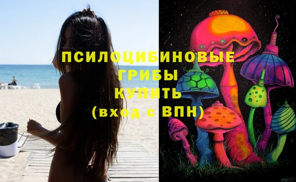 таблы Надым