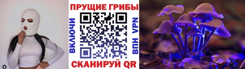 закладка  Сарапул  Псилоцибиновые грибы ЛСД 
